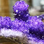 Purper Apartamento