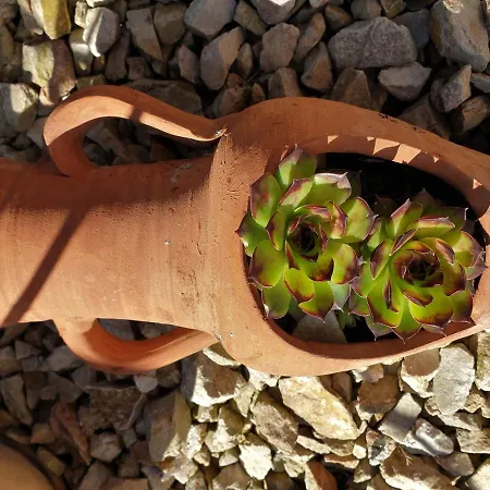 Purper Appartement Frauenberg