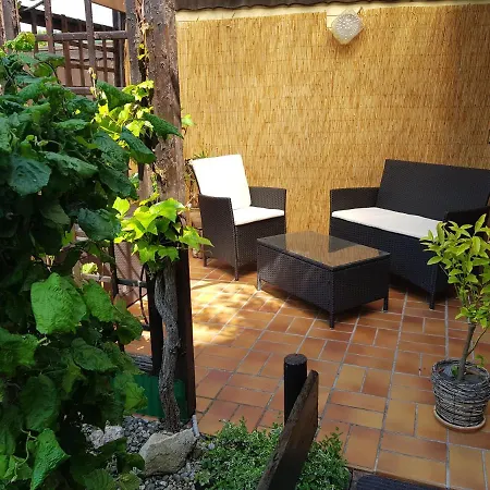 Fewo Purper