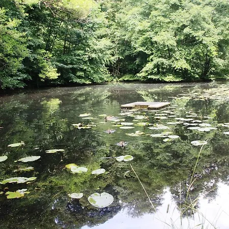 Purper 아파트 Frauenberg
