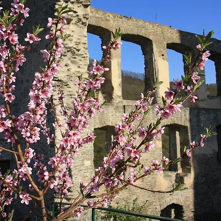 Appartement Purper *