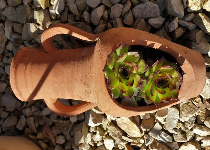 Purper Apartmán Frauenberg