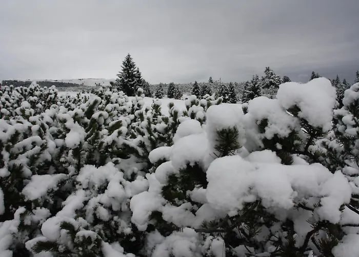 Apartmán Purper Frauenberg