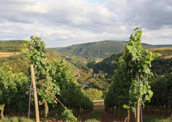 公寓 Purper Frauenberg